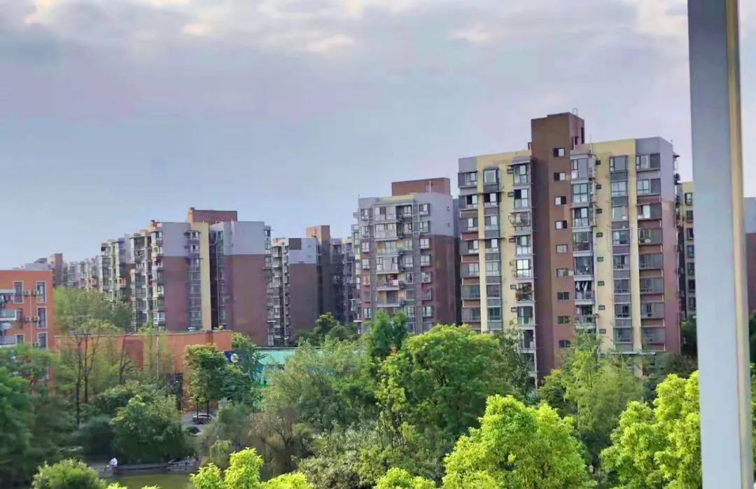 積極的學校善建者——十二公司承建學校工程盤點！(圖7)